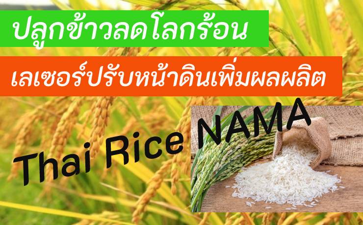 Thai rice NAMA ปลูกข้าวลดโลกร้อน เลเซอร์ปรับหน้าดินเพิ่มผลผลิต
