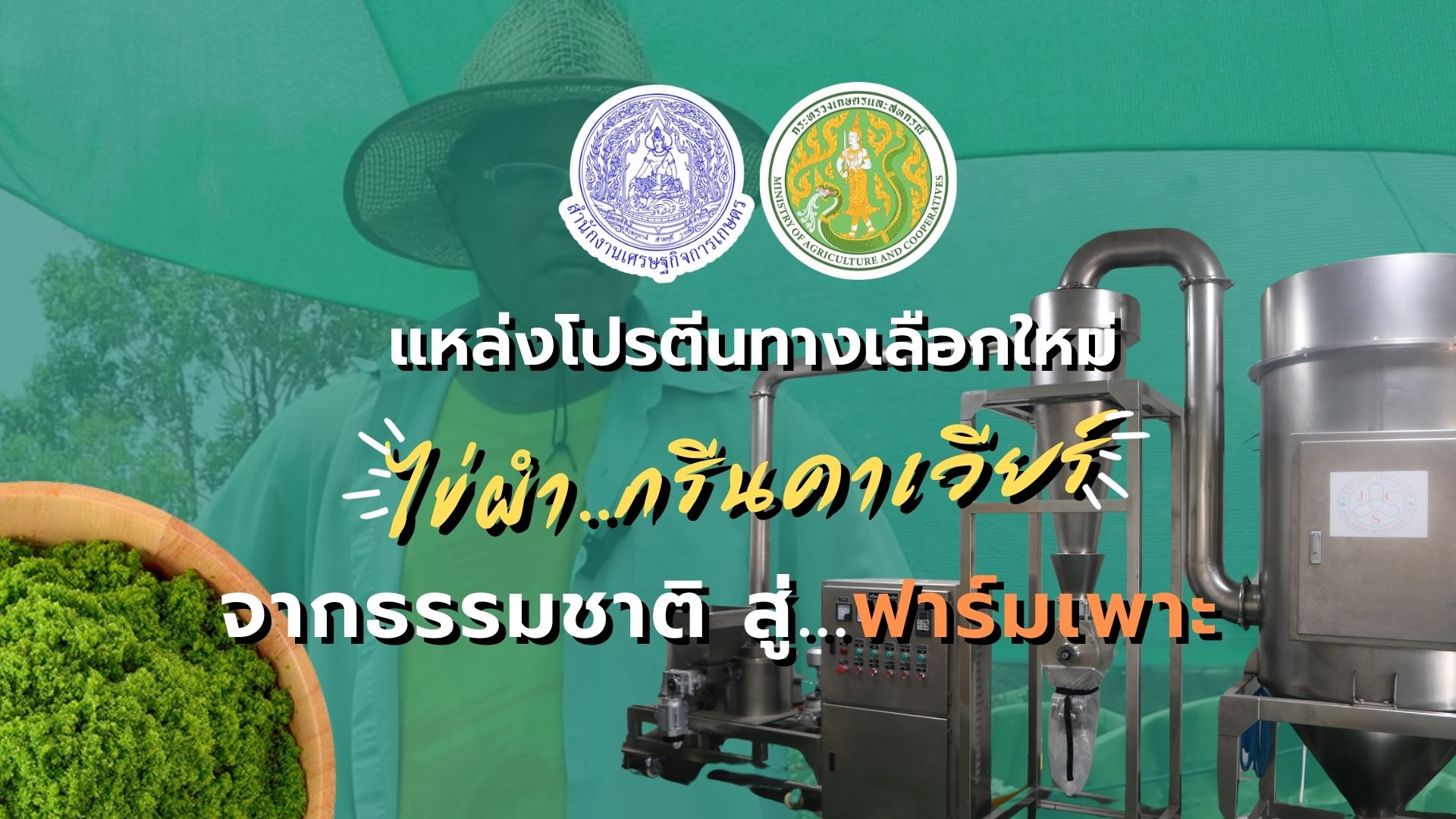 ผำ…แหล่งโปรตีนทางเลือกใหม่ จากธรรมชาติ สู่ฟาร์มเพาะ