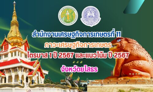 ภาวะเศรษฐกิจการเกษตร ไตรมาส 1 ปี 2567 จังหวัดยโสธร