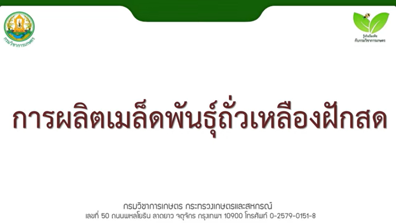 การผลิตเมล็ดพันธุ์ถั่วเหลืองฝักสด