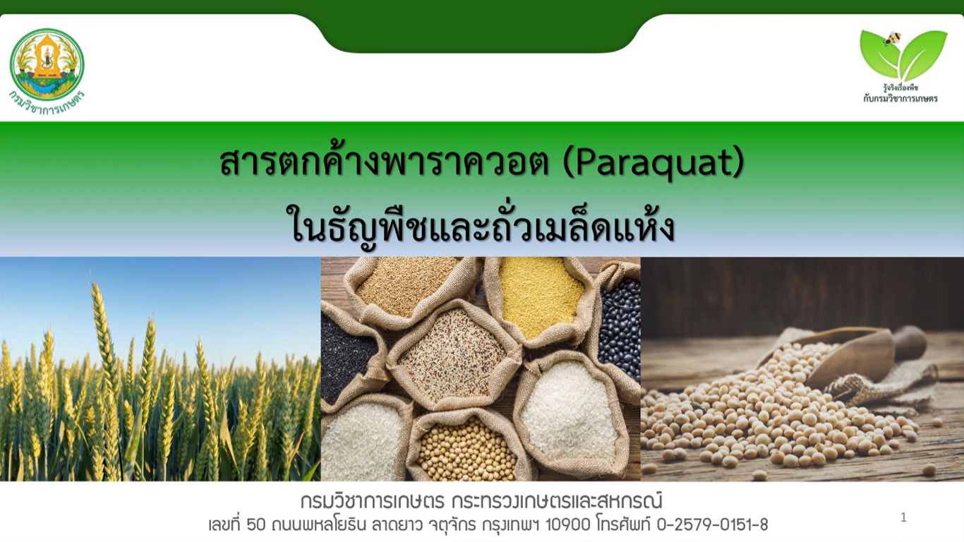 สารตกค้างพาราควอตParaquatในธัญพืชและถั่วเมล็ดแห้ง