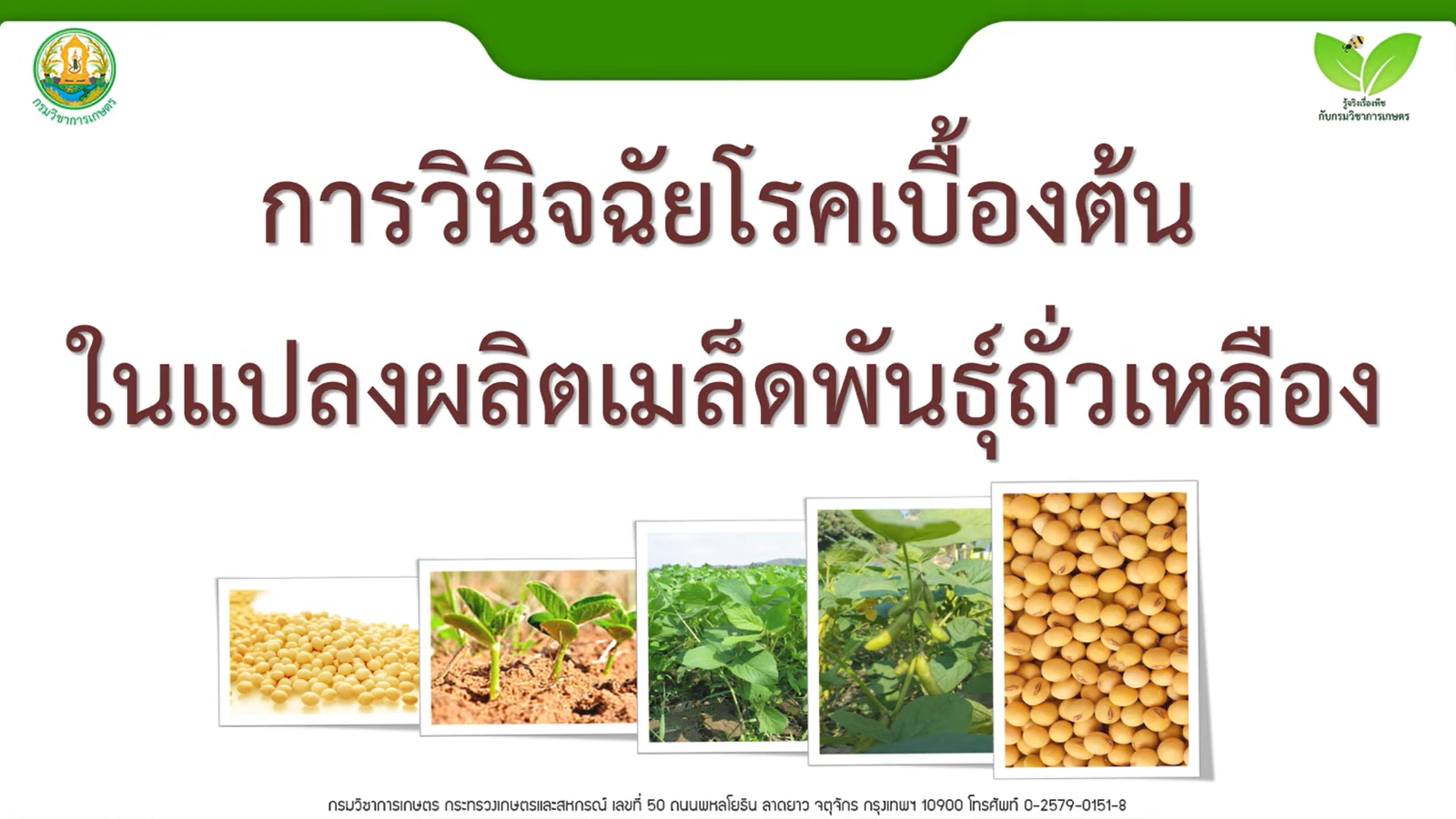 การวินิจฉัยโรคเบื้องต้นในแปลงผลิตถั่วเหลือง