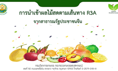 การนำเข้าผลไม้สดตามเส้นทาง R3Aจากสาธารณรัฐประชาชนจีน