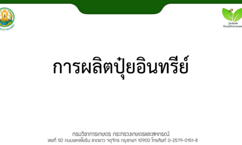 การผลิตปุ๋ยอินทรีย์