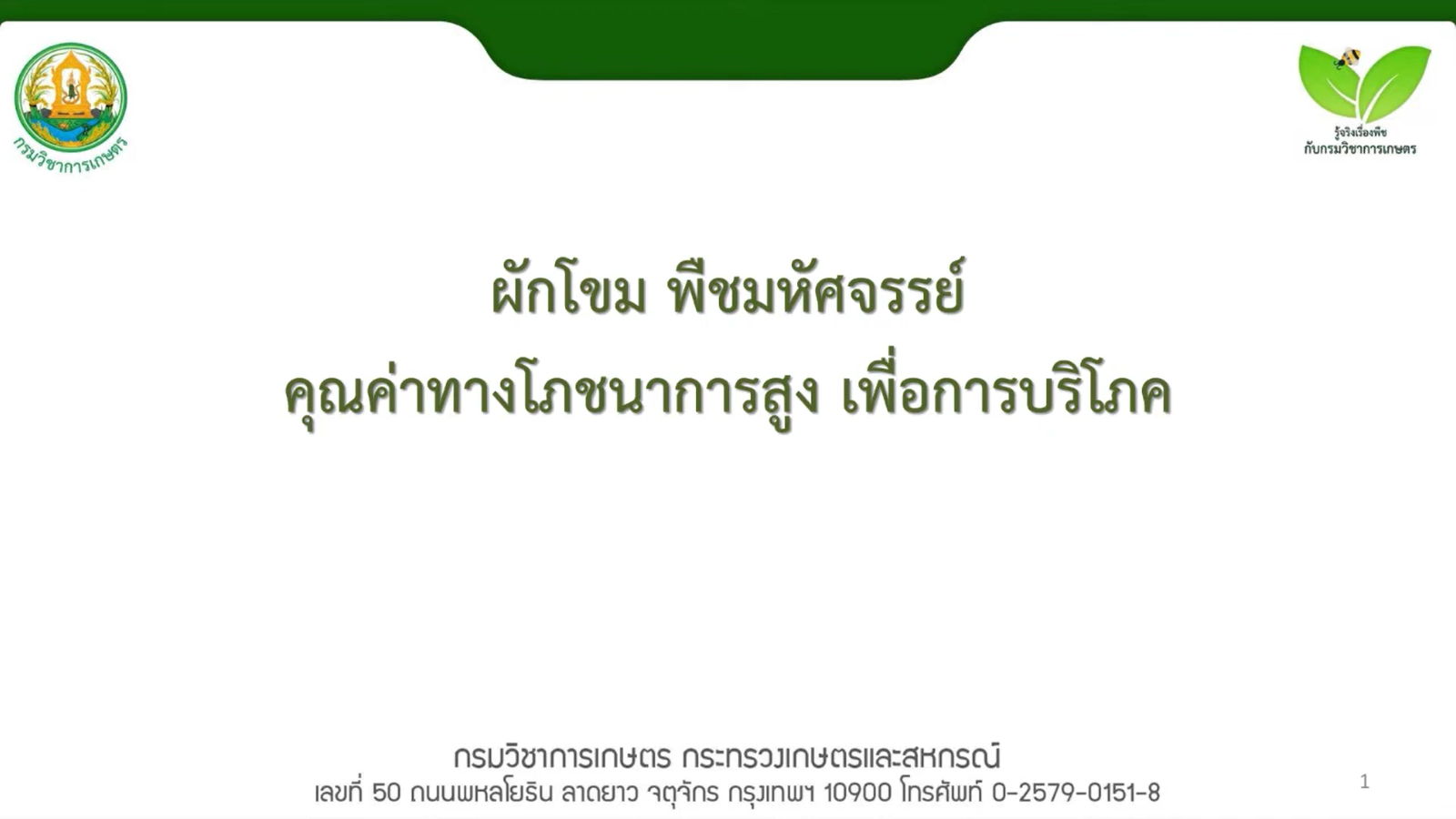 ผักโขม พืชมหัศจรรย์คุณค่าทางโภชนาการสูงเพื่อการบริโภค