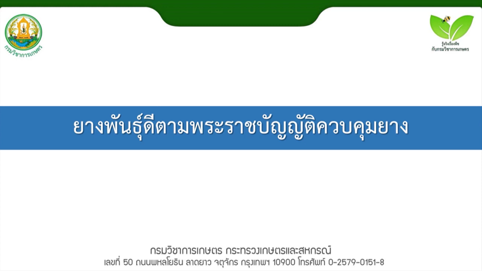 ยางพันธุ์ดีตามพระราชบัญญัติควบคุมยาง