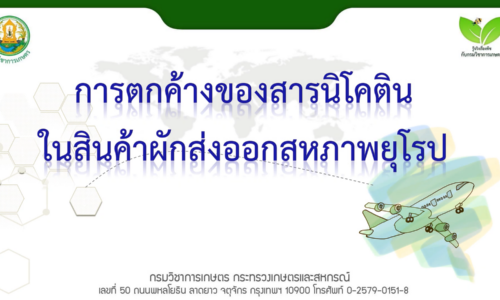 การตกค้างของสารนิโคตินในสินค้าผักส่งออกสหภาพยุโรป