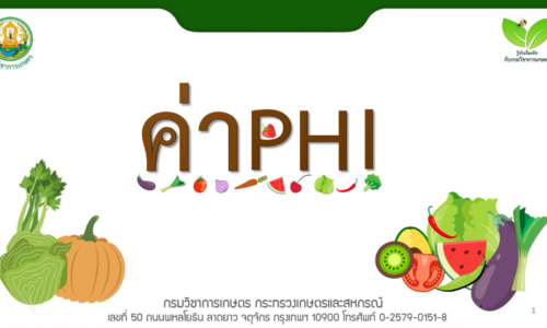 ค่า PHI