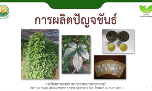 การผลิตปัญจขันธ์