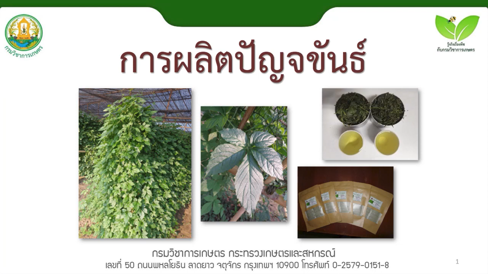 การผลิตปัญจขันธ์