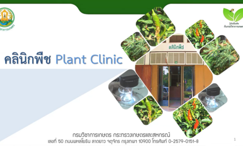 คลินิกพืช Plant Clinic