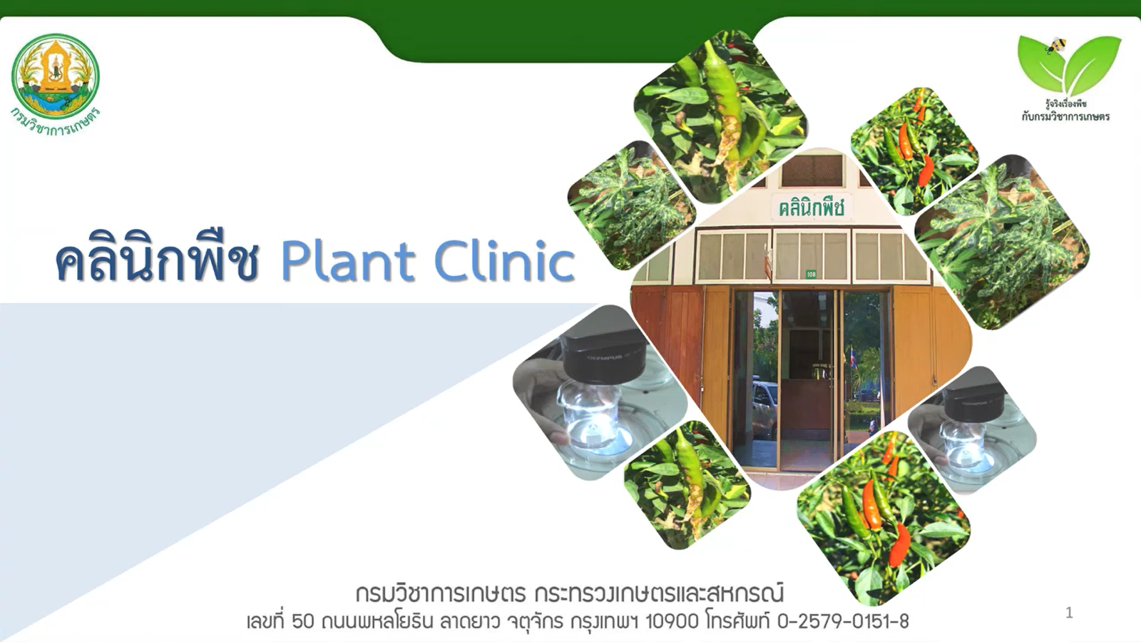 คลินิกพืช Plant Clinic