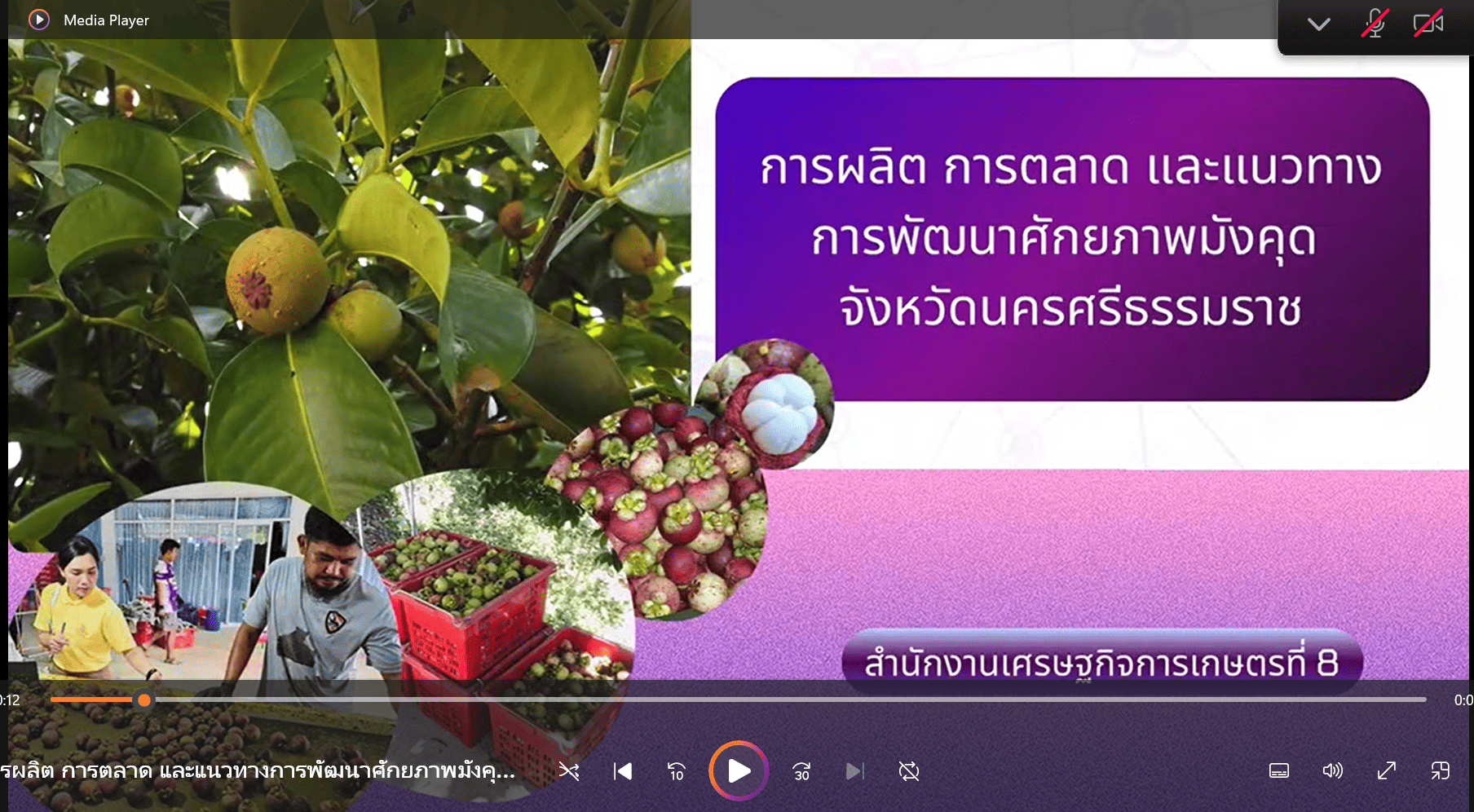 การผลิต การตลาด และแนวทางการพัฒนาศักยภาพมังคุด จังหวัดนครศรีธรรมราช