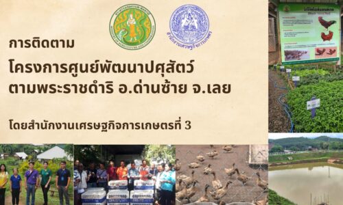 สศท.3 ติดตามโครงการศูนย์พัฒนาปศุสัตว์ตามพระราชดำริ อำเภอด่านซ้าย จังหวัดเลย