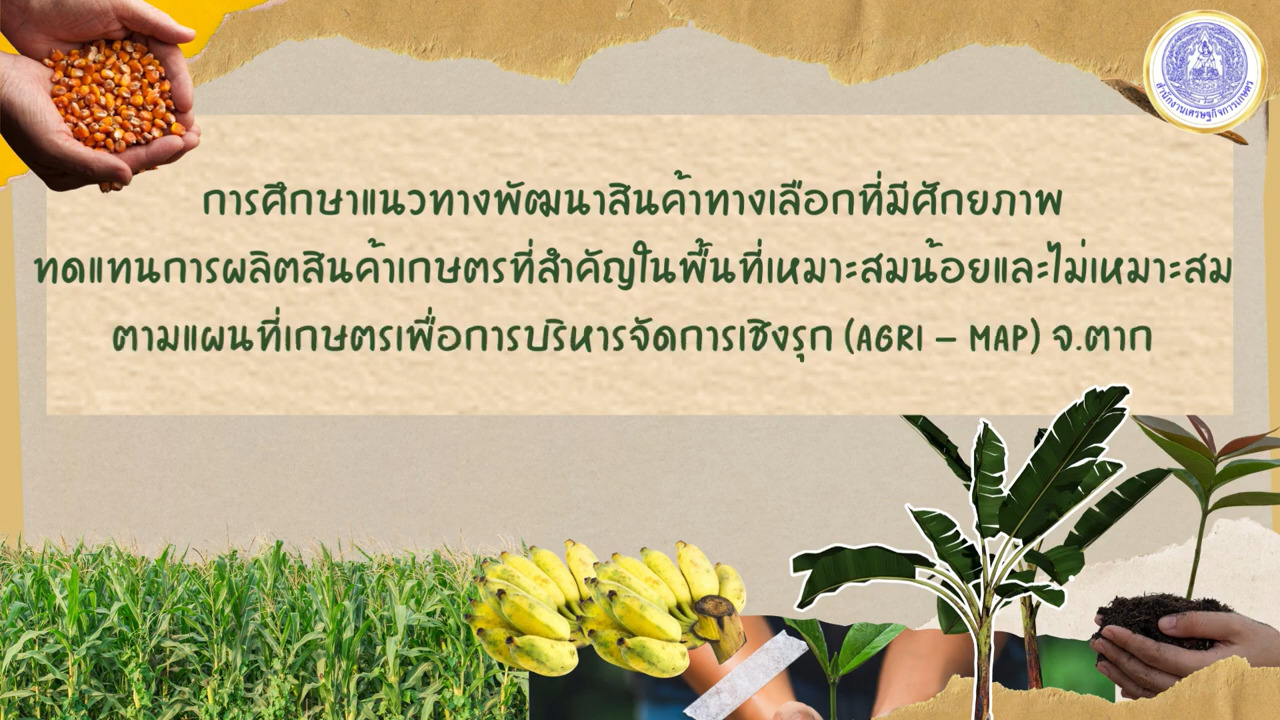 แนวทางพัฒนากล้วยน้ำว้าทดแทนข้าวโพดเลี้ยงสัตว์ (Agri-Map ตาก)