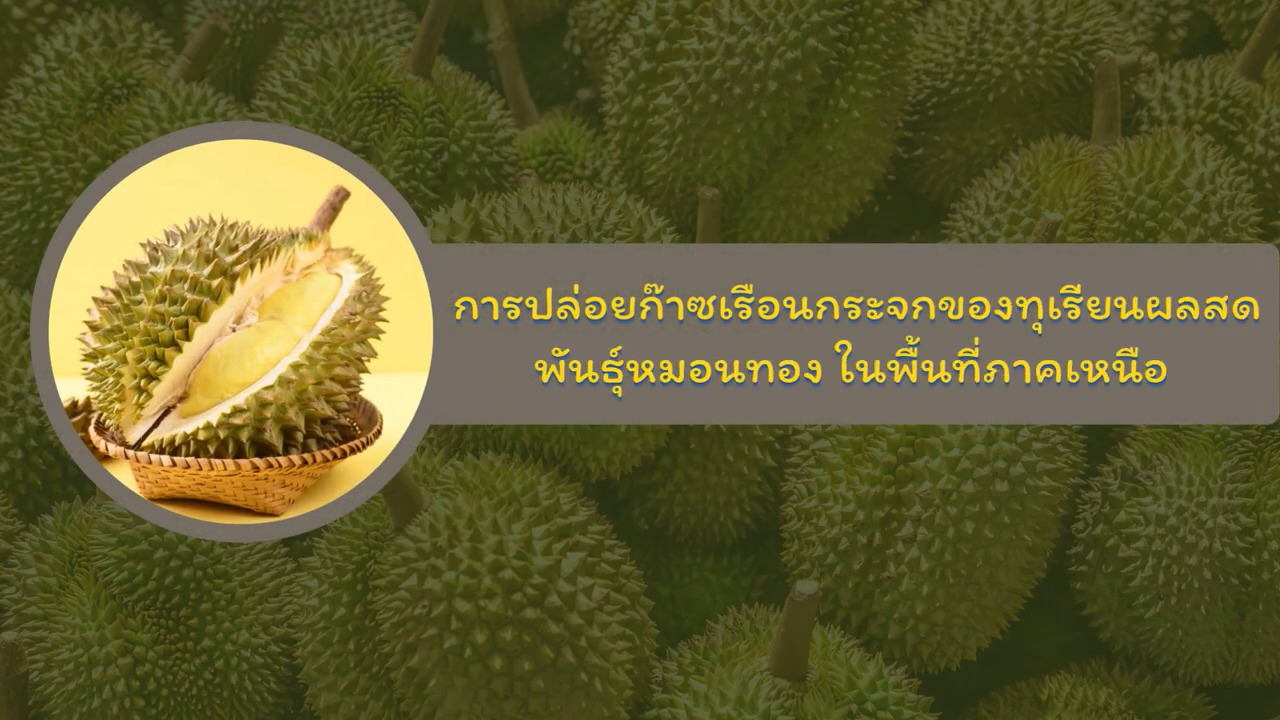 การปล่อยก๊าซเรือนกระจกของทุเรียนผลสดพันธุ์หมอนทองในพื้นที่ภาคเหนือ