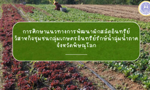 ผักสลัดอินทรีย์ วิสาหกิจชุมชนกลุ่มเกษตรอินทรีย์รักษ์น้ำลุ่มน้ำภาค พิษณุโลก