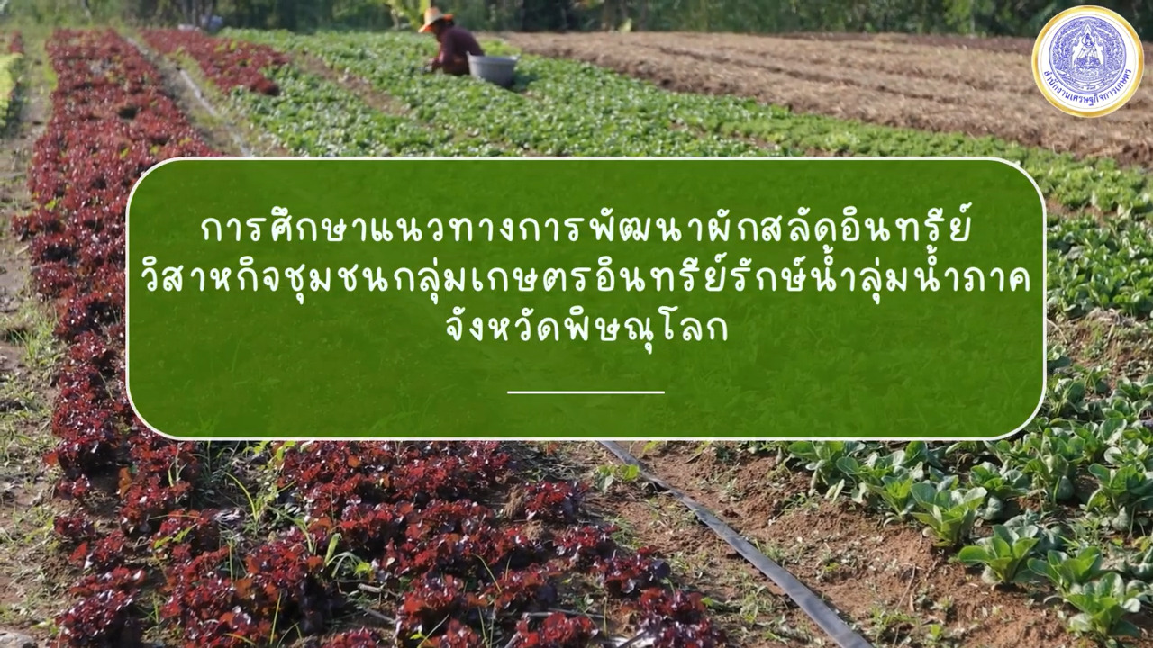 ผักสลัดอินทรีย์ วิสาหกิจชุมชนกลุ่มเกษตรอินทรีย์รักษ์น้ำลุ่มน้ำภาค พิษณุโลก